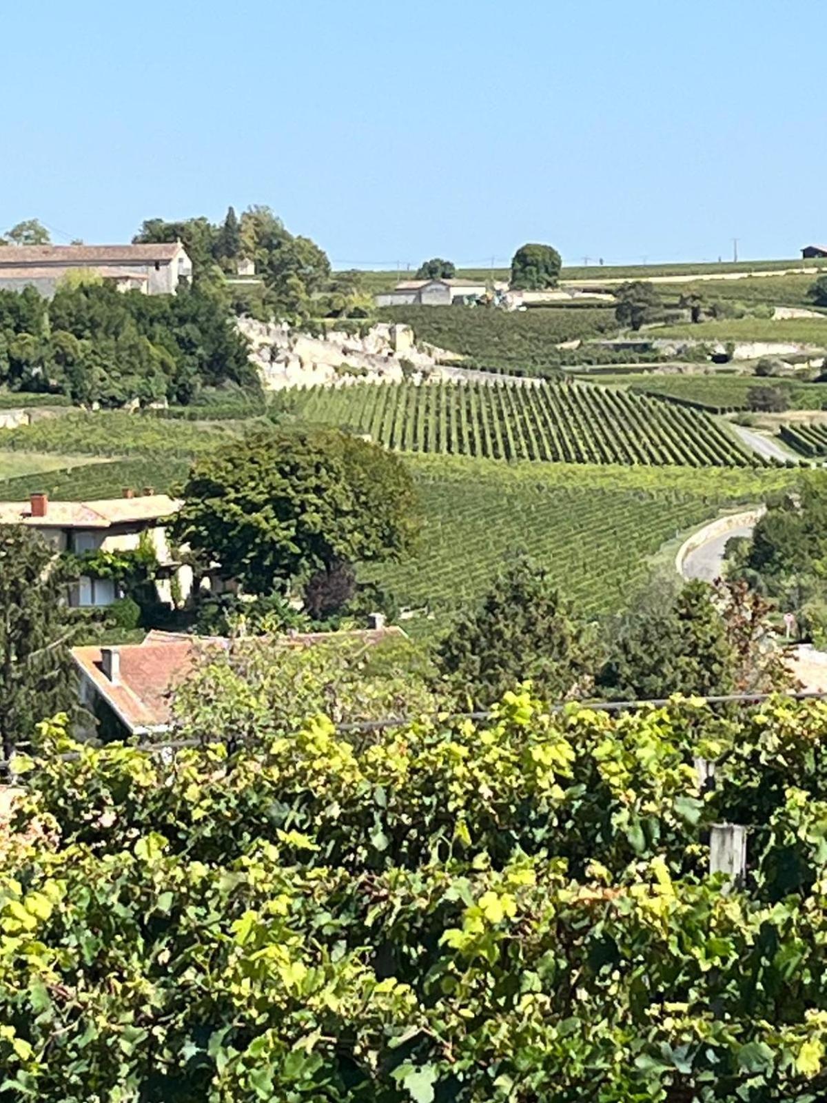 Apartamento Les Logis Des Vignobles Sainte Emilion En Duplex N 3 Avec Terrasse Exterior foto